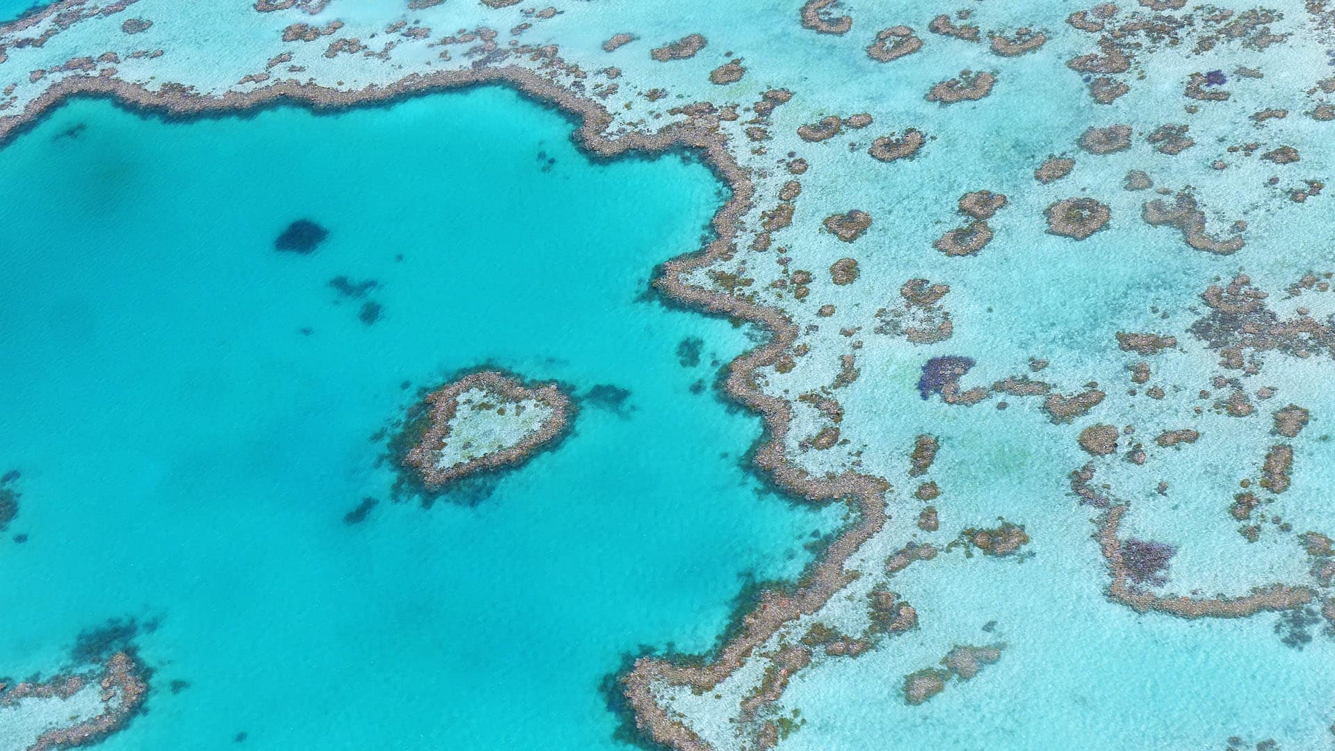 Altrove Yachts Australia Yacht Charter